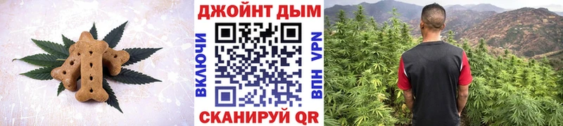 магазин продажи наркотиков  Острогожск  Еда ТГК конопля 