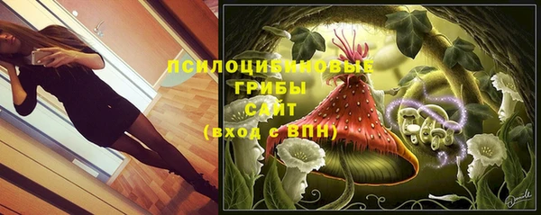 ALPHA PVP Богородск